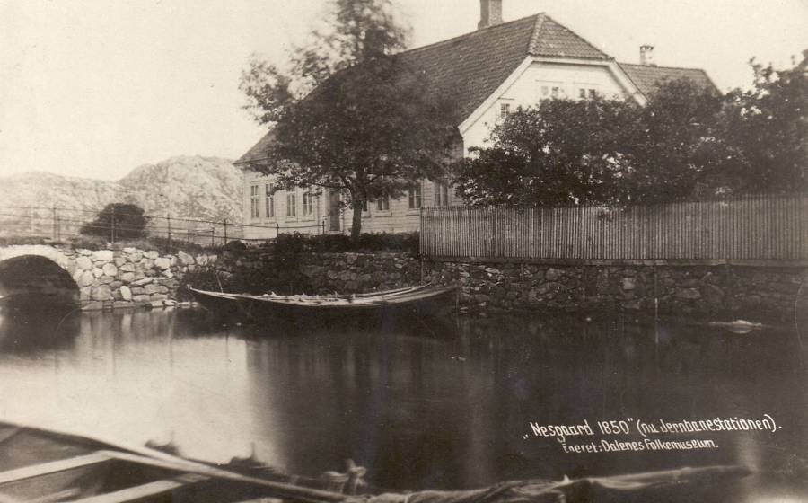 Nesgård