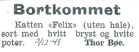 Da den haleløse Felix forsvant i desember 1949 var den så dypt savnet at eieren etterlyste den i Dalane Tidende