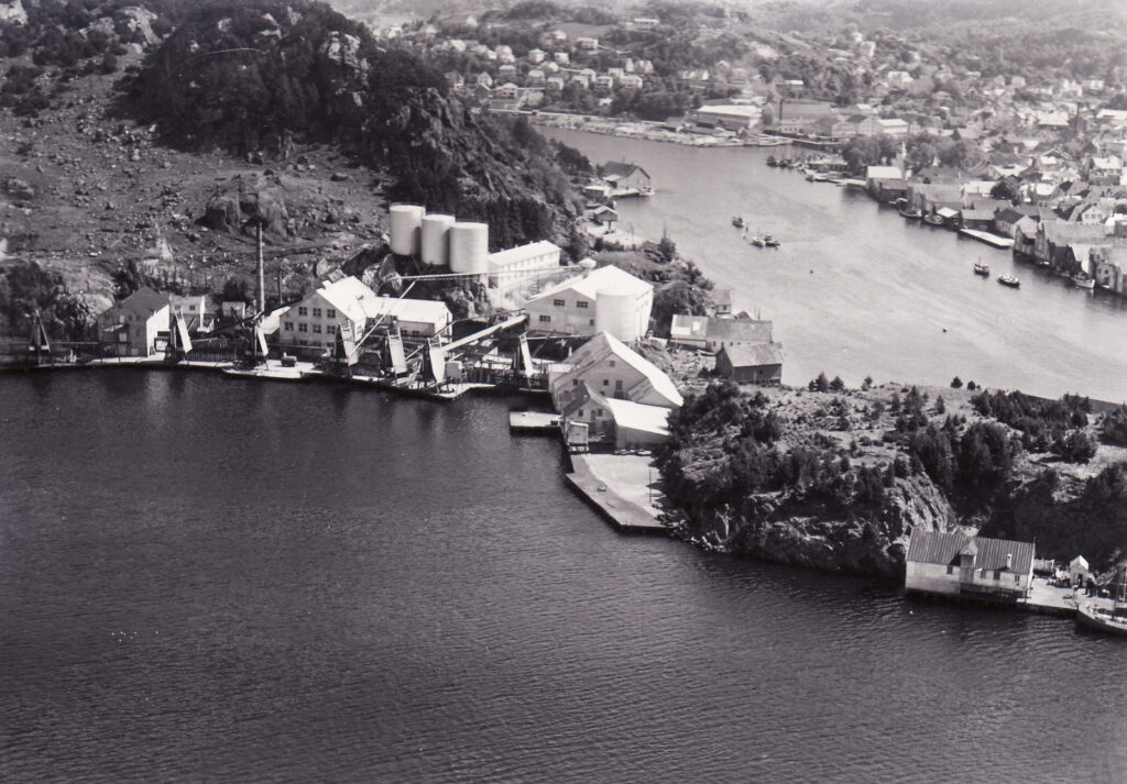 Egersund Sildoljefabrikk 1954
