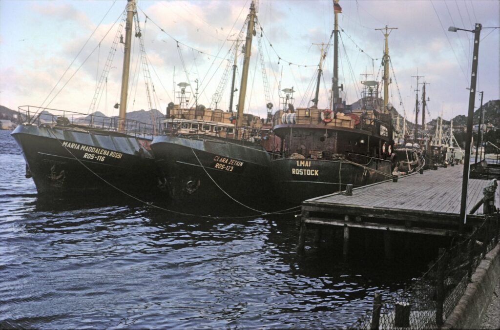 Trålere fra Rostock ved Tyskerbrygga i 1965