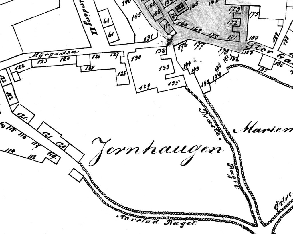 Utsnitt av Bykart 1868