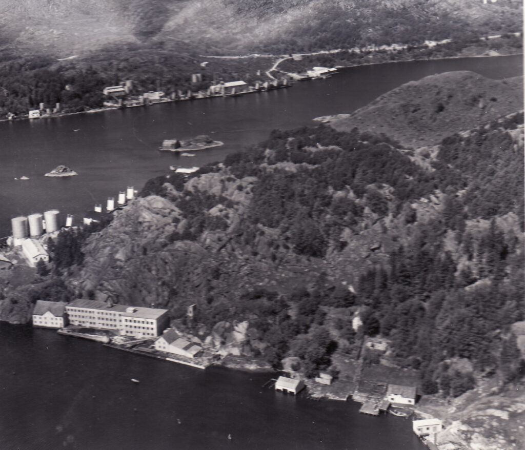 Kontrari, 1956