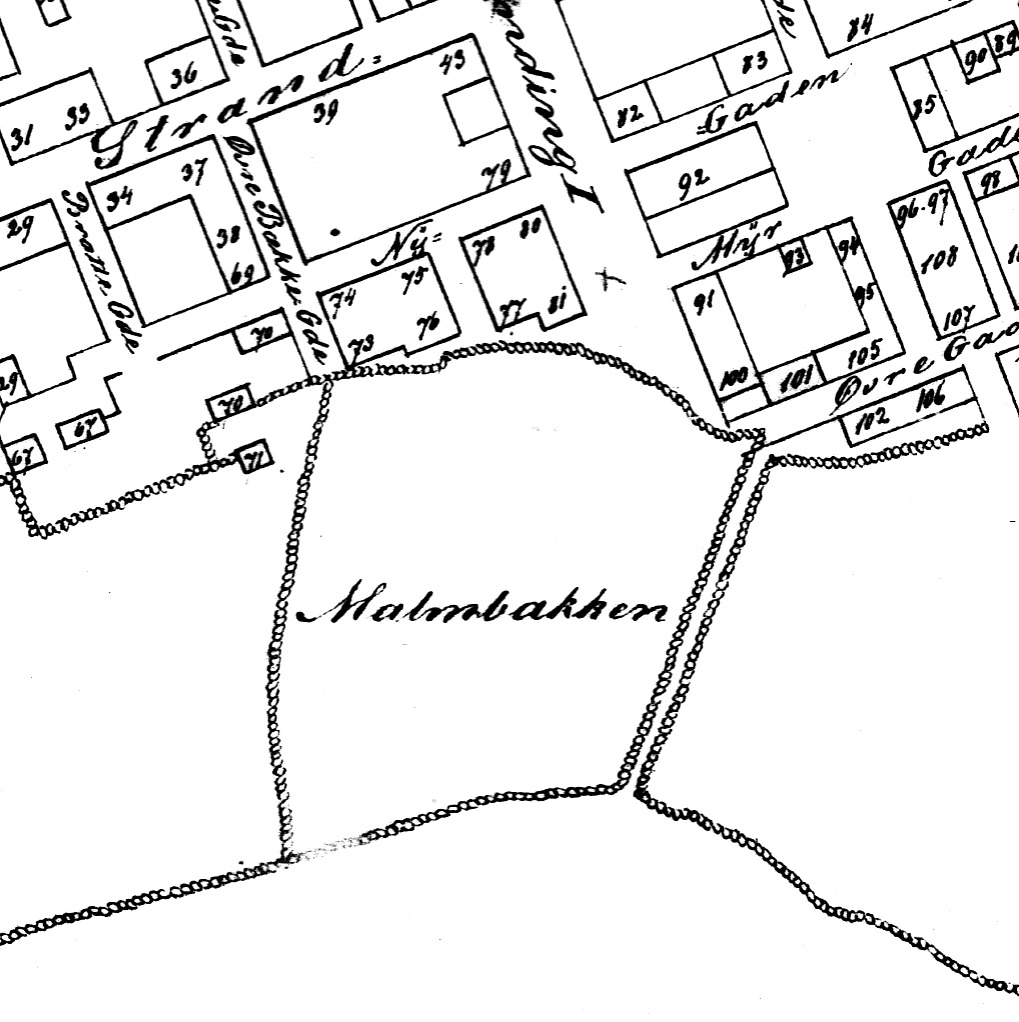 Utsnitt av Bykart 1868