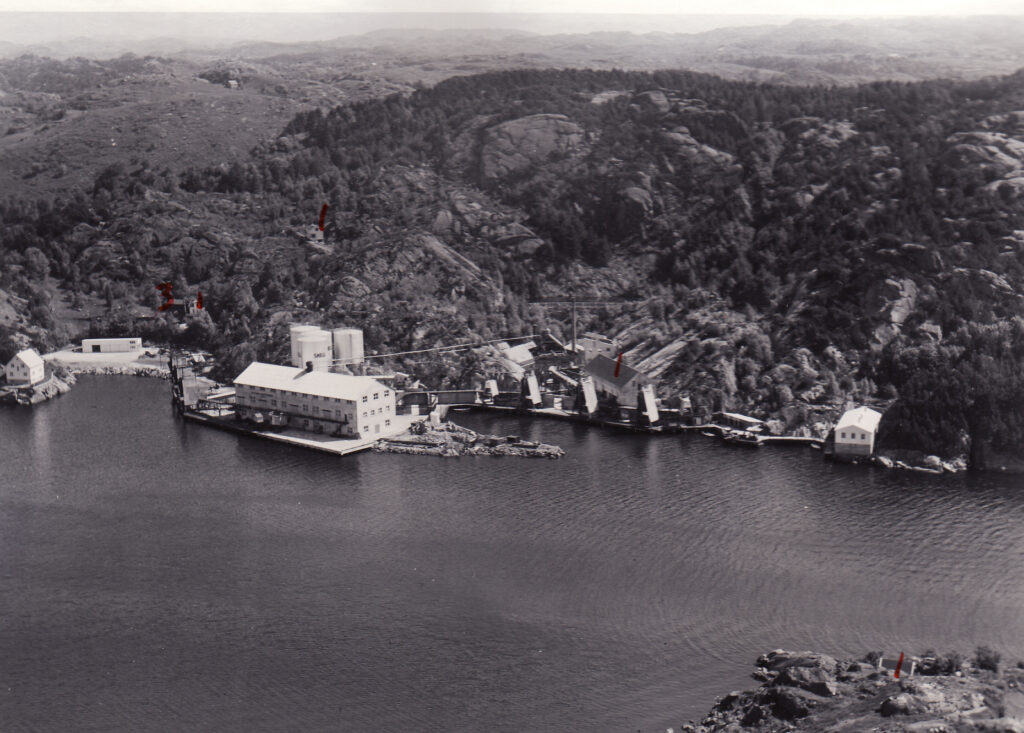 Ryttervik Fabrikker 1954
