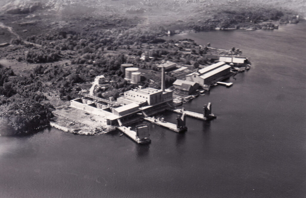 Silfas 1953